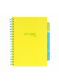 Kołozeszyt Strigo B5 Project Book Neon żółty linia