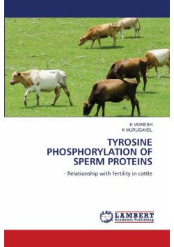 Tyrosine Phosphorylation Of Sperm Proteins
