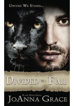 Divided We Fall