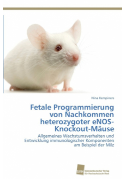 Fetale Programmierung von Nachkommen heterozygoter eNOS-Knockout-Mäuse