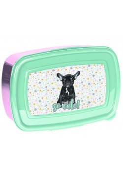 Śniadaniówka Buldog PP20BU-3022 PASO