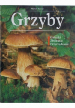 Grzyby Gatunki Zbieranie Przyrządzanie