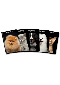 Zeszyt A5/60K kratka Kitty & Dog (10szt)