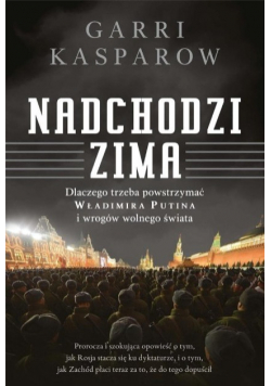 Nadchodzi zima