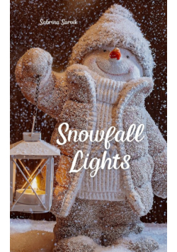Snowfall Lights