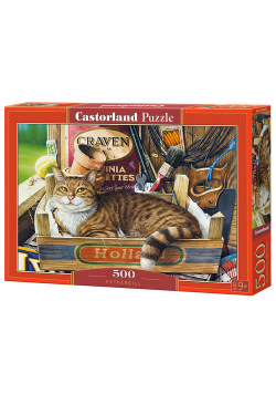 Puzzle Fothergill 500