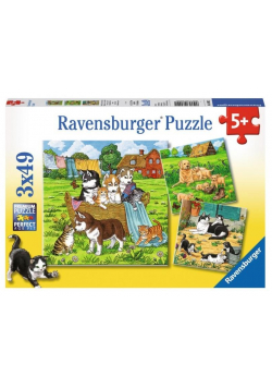 Puzzle 3x49 Słodkie pieski i kotki
