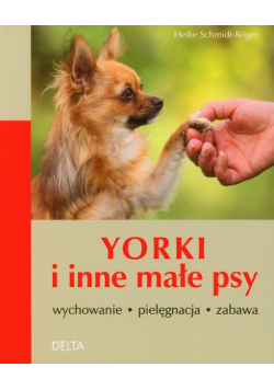 Yorki i inne małe psy