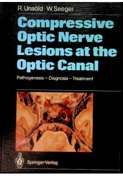 Compressive Optic Nerve Lesions at the Optic Canal