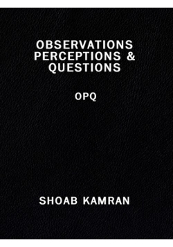 Observations Perceptions & Questions