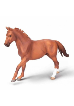 Ogier Phar Lap maści kasztanowej