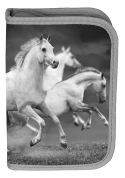 Piórnik z wyposażeniem Horse PP19HS-001 PASO