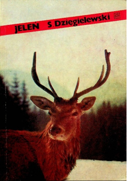 Jeleń