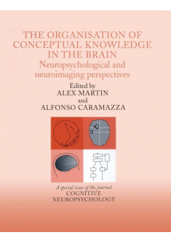 The Organisation of Conceptual Knowledge in the Brain