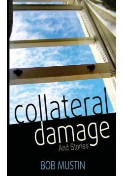 Collateral Damage and Stories