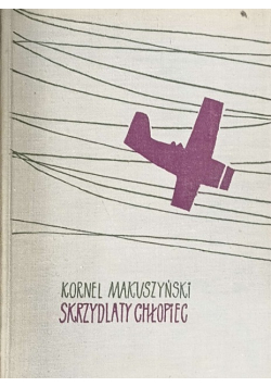 Skrzydlaty chłopiec