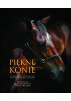 Piękne konie