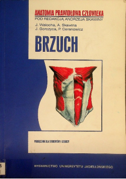 Anatomia prawidłowa człowieka brzuch