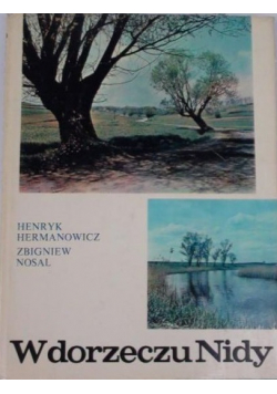W dorzeczu Nidy