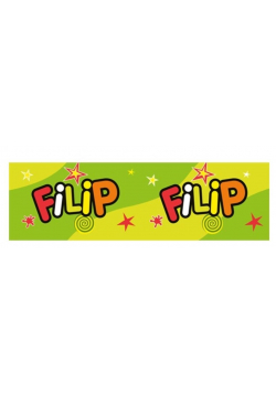 Bidon 300ml Filip