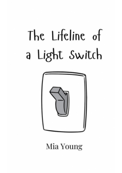 The Lifeline of a Light Switch