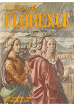 Looking at Florence