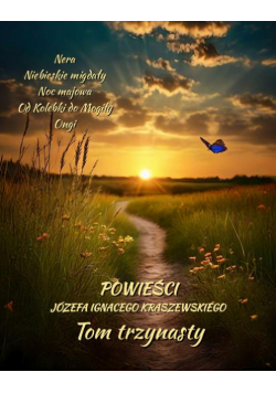 Powieści Józefa Ignacego Kraszewskiego. Tom 13