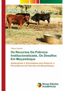 Os Recursos Da Pobreza Institucionalizada, Os Desafíos Em Moçambique