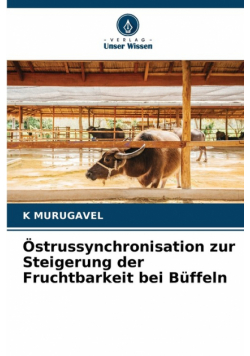 Östrussynchronisation zur Steigerung der Fruchtbarkeit bei Büffeln