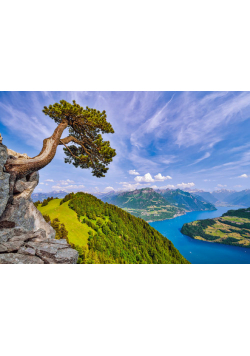 Puzzle 1000 View of the Lake of Uri Switzerland C-105311-2