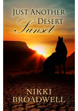 Just Another Desert Sunset