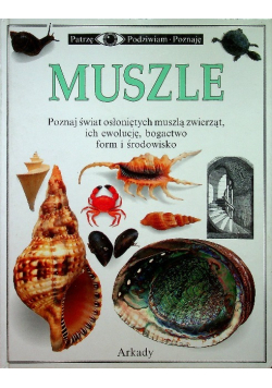 Muszle Patrzę Podziwiam Poznaję