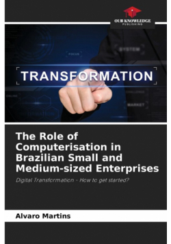 The Role of Computerisation in Brazilian Small and Medium-sized Enterprises