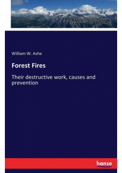 Forest Fires