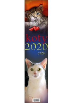 Kalendarz 2020 Paskowy - Koty PP
