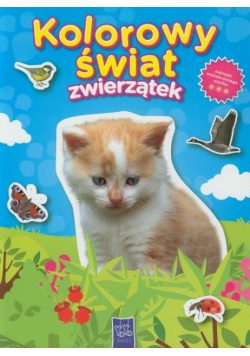 Kolorowy świat zwierzątek: Kot