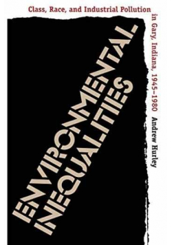 Environmental Inequalities