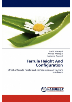 Ferrule Height And Configuration