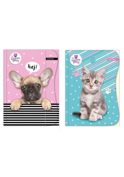 Teczka z gumką A4 The Sweet Pets Kids mix