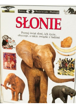 Patrzę, podziwiam, poznaję. Słonie