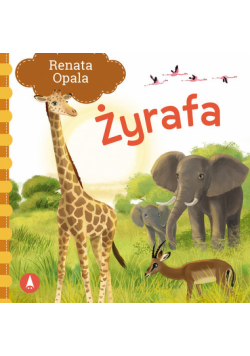 Żyrafa