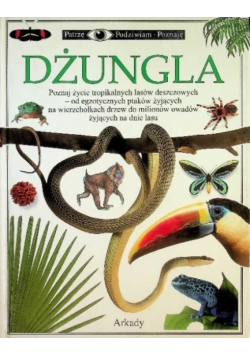 Dżungla