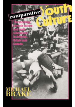 Comparative Youth Culture