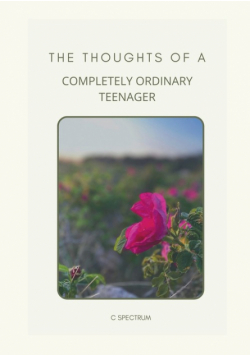 The Thoughts of a Completely Ordinary Teenager