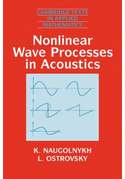 Nonlinear Wave Processes in Acoustics