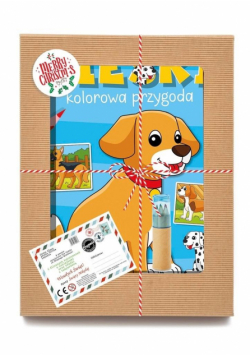 Paczka świąteczna dziewczynki MIX