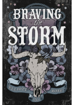 Braving The Storm