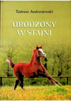 Urodzony w stajni