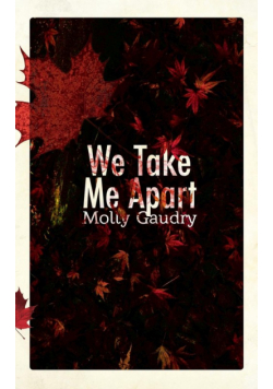 We Take Me Apart