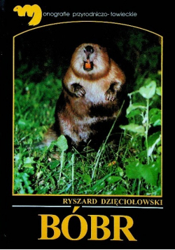 Bóbr